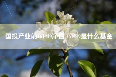 国投产业前161219净值,161219是什么基金