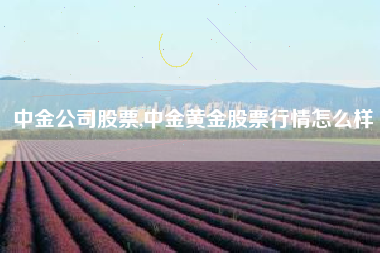 中金公司股票,中金黄金股票行情怎么样