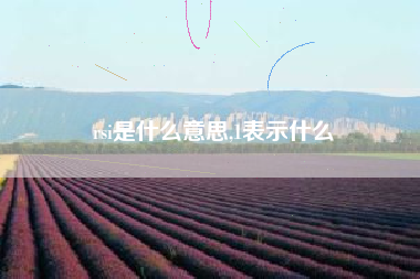 rsi是什么意思,1表示什么