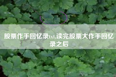 详细阅读:股票作手回忆录txt,读完股票大作手回忆录之后 股票作手回忆录txt,读完股票大作手回忆录之后