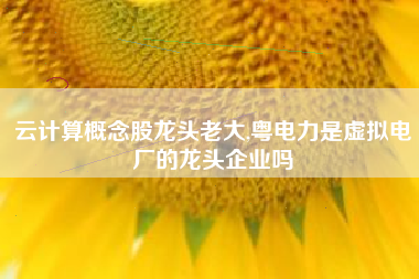 云计算概念股龙头老大,粤电力是虚拟电厂的龙头企业吗