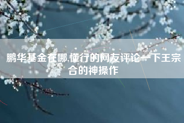 鹏华基金在哪,懂行的网友评论一下王宗合的神操作