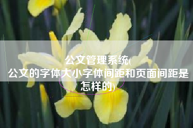 公文管理系统(
公文的字体大小字体间距和页面间距是怎样的) 公文管理系统(
公文的字体大小字体间距和页面间距是怎样的)