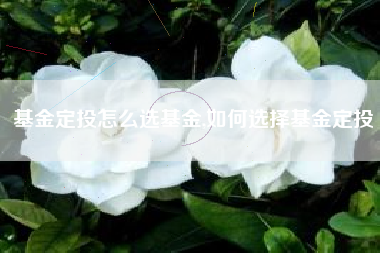 基金定投怎么选基金,如何选择基金定投