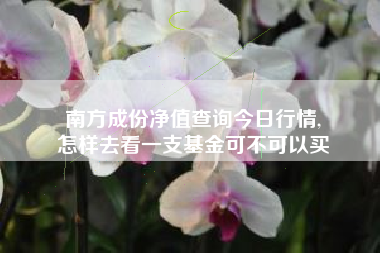 南方成份净值查询今日行情,
怎样去看一支基金可不可以买 南方成份净值查询今日行情,
怎样去看一支基金可不可以买