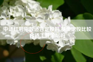 中证红利指数适合定投吗,基金定投比较合适工薪阶层吗