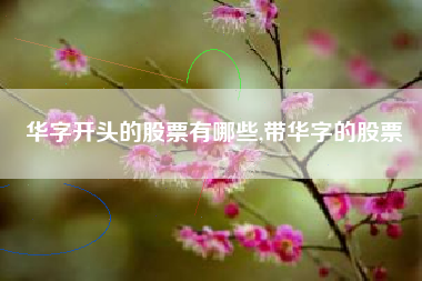 华字开头的股票有哪些,带华字的股票