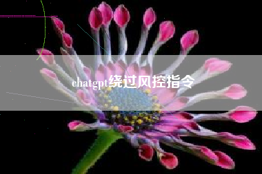chatgpt绕过风控指令