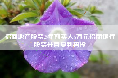招商地产股票,5年前买入5万元招商银行股票并且复利再投