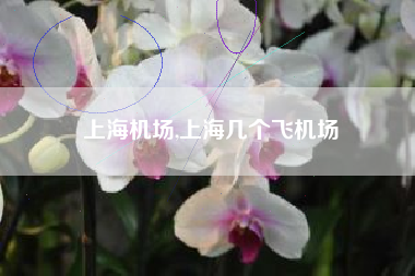 上海机场,上海几个飞机场