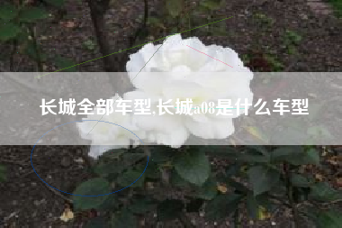 长城全部车型,长城a08是什么车型