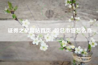 证券之星网站首页,a股总市值怎么查