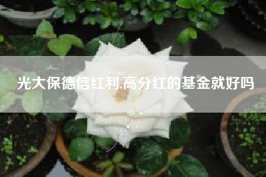 光大保德信红利,高分红的基金就好吗