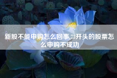 新股不能申购怎么回事,73开头的股票怎么申购不成功