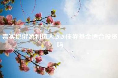 嘉实稳健添利坑人,2020债券基金适合投资吗