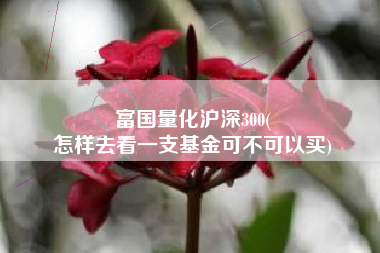 富国量化沪深300(
怎样去看一支基金可不可以买) 富国量化沪深300(
怎样去看一支基金可不可以买)