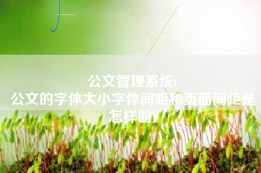 公文管理系统(
公文的字体大小字体间距和页面间距是怎样的) 公文管理系统(
公文的字体大小字体间距和页面间距是怎样的)
