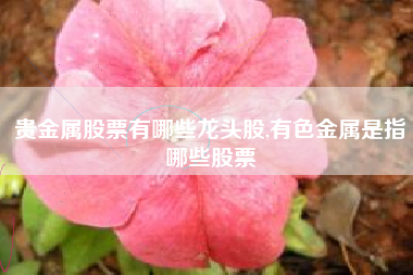 贵金属股票有哪些龙头股,有色金属是指哪些股票