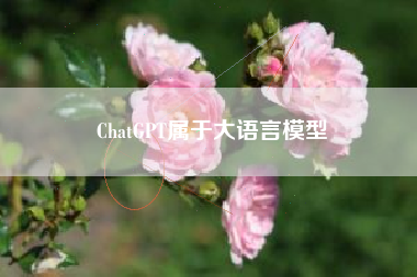 ChatGPT属于大语言模型