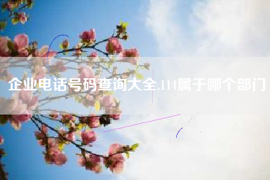 企业电话号码查询大全,114属于哪个部门