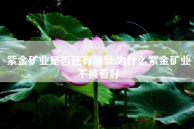 紫金矿业是否还有前景,为什么紫金矿业不被看好