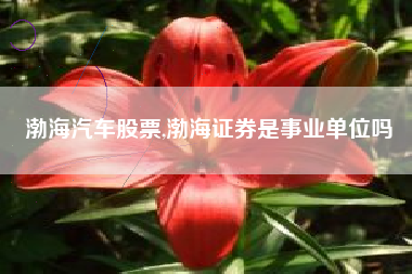 渤海汽车股票,渤海证券是事业单位吗