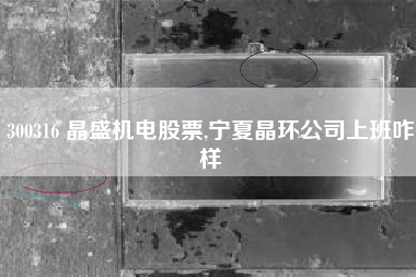 300316 晶盛机电股票,宁夏晶环公司上班咋样