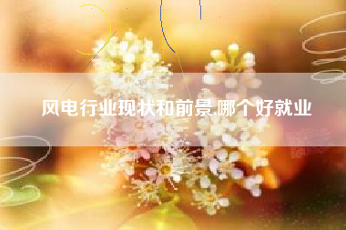 风电行业现状和前景,哪个好就业