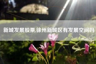 新城发展股票,徐州新城区有发展空间吗