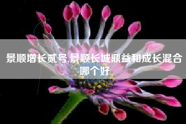景顺增长贰号,景顺长城鼎益和成长混合哪个好