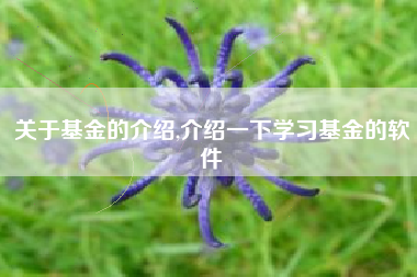 关于基金的介绍,介绍一下学习基金的软件
