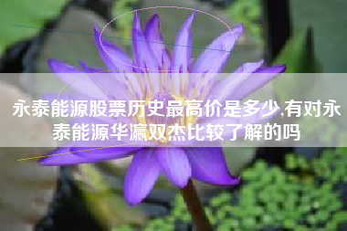 永泰能源股票历史最高价是多少,有对永泰能源华瀛双杰比较了解的吗