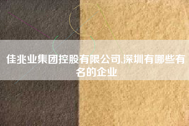 佳兆业集团控股有限公司,深圳有哪些有名的企业