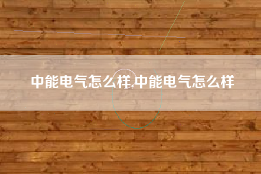 中能电气怎么样,中能电气怎么样