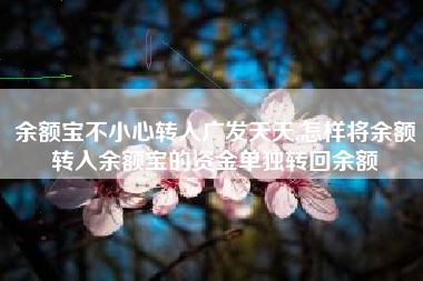 余额宝不小心转入广发天天,怎样将余额转入余额宝的资金单独转回余额