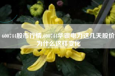 600744股市行情,600744华银电力这几天股价为什么这样变化