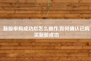 新股申购成功后怎么操作,如何确认已购买新股成功