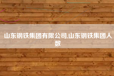 山东钢铁集团有限公司,山东钢铁集团人数