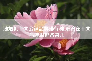 油烟机十大公认品牌排行榜,乐铃在十大品牌里排名第几
