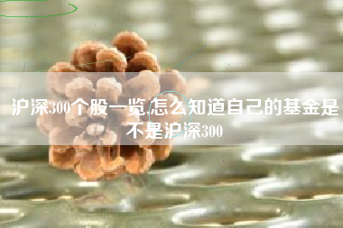沪深300个股一览,怎么知道自己的基金是不是沪深300