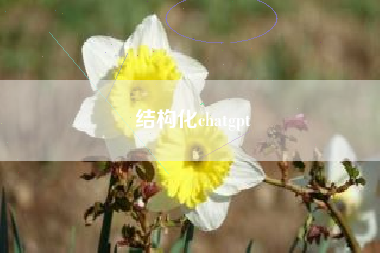 结构化chatgpt