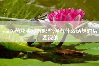 cxo医药龙头股有哪些,你有什么话想对后辈说的
