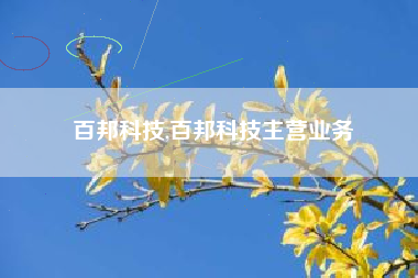 百邦科技,百邦科技主营业务