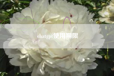 chatgpt使用期限