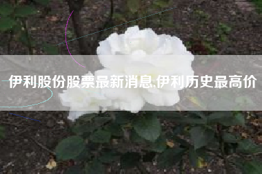 伊利股份股票最新消息,伊利历史最高价
