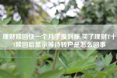理财赎回快一个月了没到账,买了理财T十1赎回后显示等待转户是怎么回事