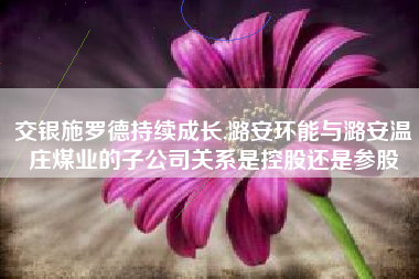 交银施罗德持续成长,潞安环能与潞安温庄煤业的子公司关系是控股还是参股