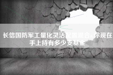 长信国防军工量化灵活配置混合a,你现在手上持有多少支基金