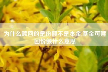 为什么赎回的是份额不是本金,基金可赎回份额什么意思