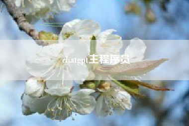 chatgpt主程序员